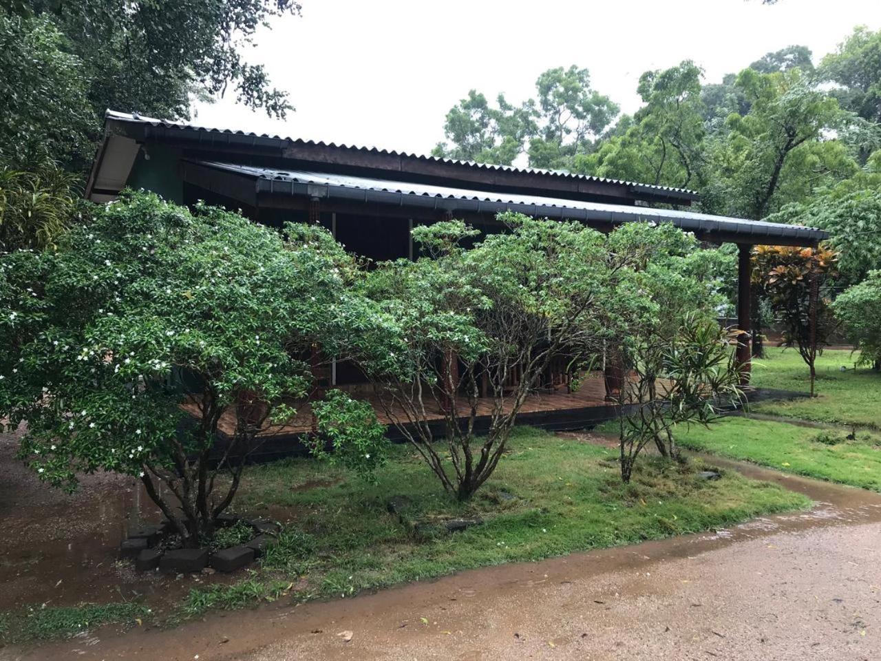 Greenwood Hotel Sigiriya Ngoại thất bức ảnh