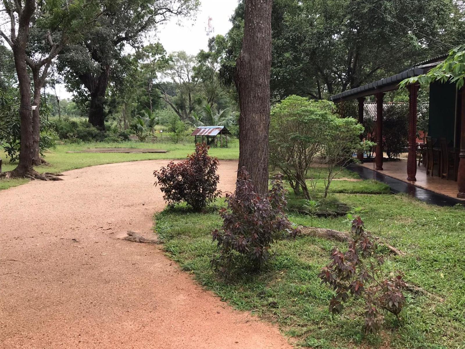Greenwood Hotel Sigiriya Ngoại thất bức ảnh