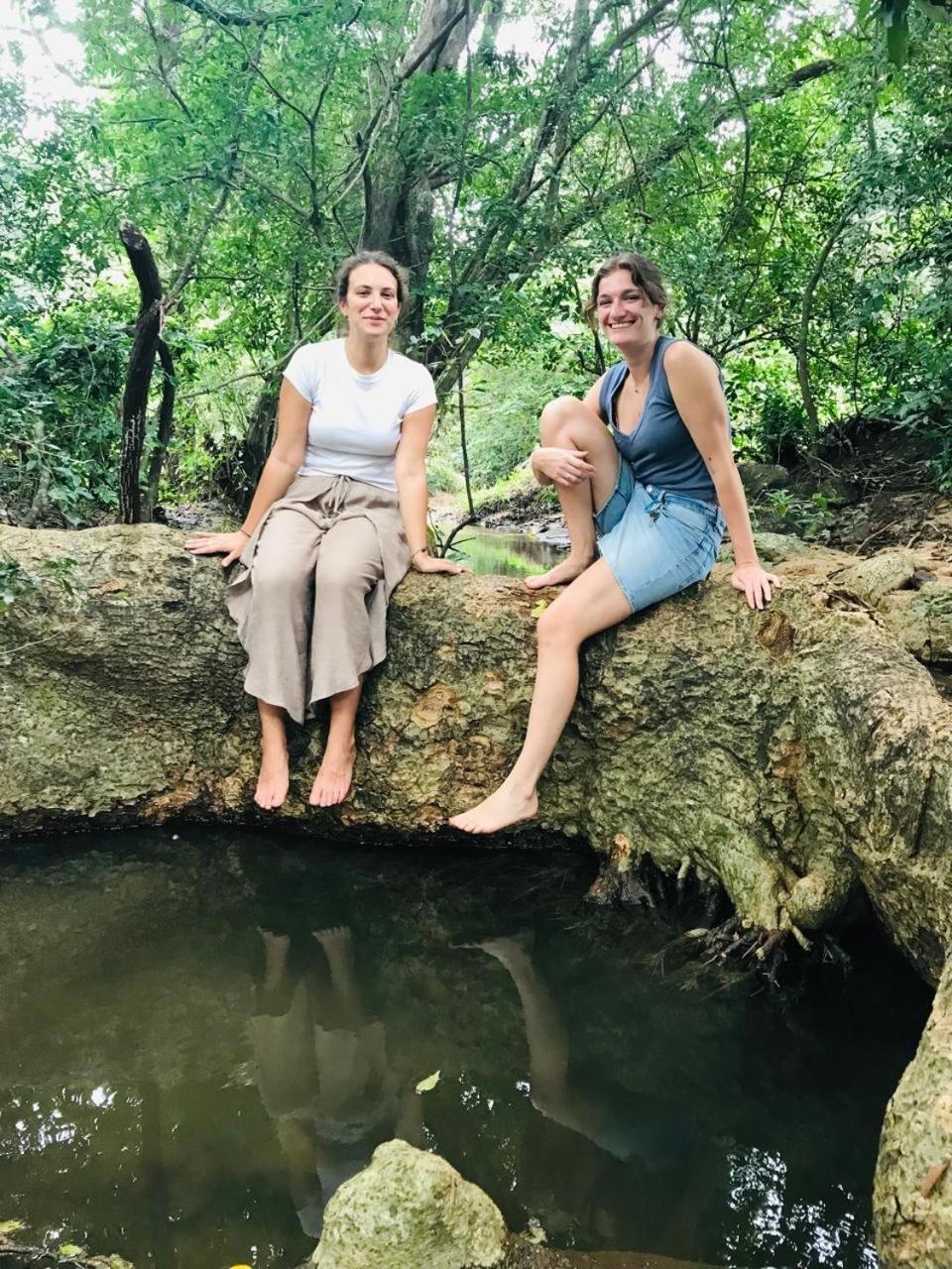 Greenwood Hotel Sigiriya Ngoại thất bức ảnh