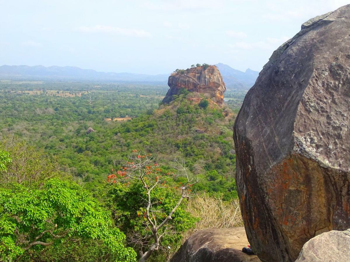 Greenwood Hotel Sigiriya Ngoại thất bức ảnh
