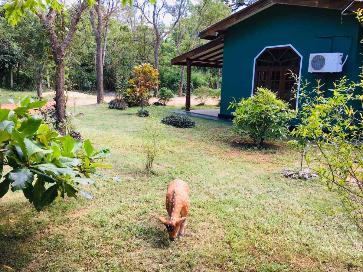 Greenwood Hotel Sigiriya Ngoại thất bức ảnh